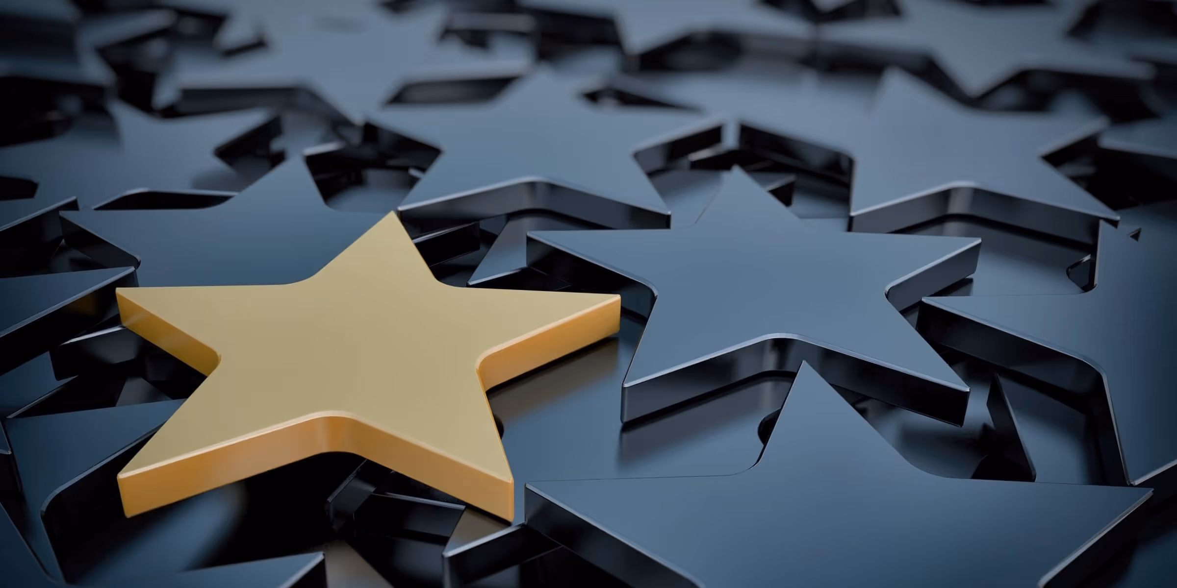 Ödüllerle Taçlanan Başarılar