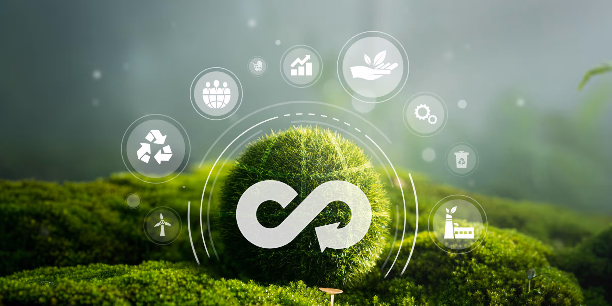 Sürdürülebilirlik Yönetimi