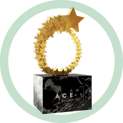 A.C.E Awards